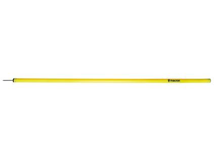 POLE SPIKE