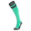 33910 1 azlon socks
