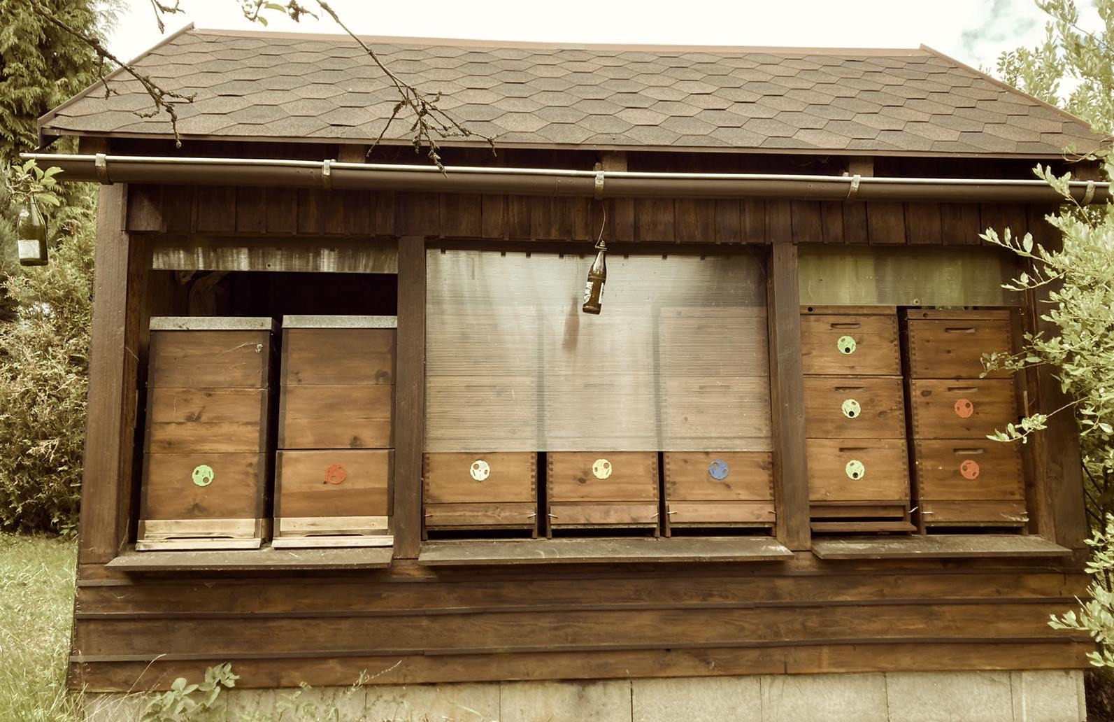 08ACBB54-9A6D-44B3-82D7-5509CA45CB0D_1_201_a