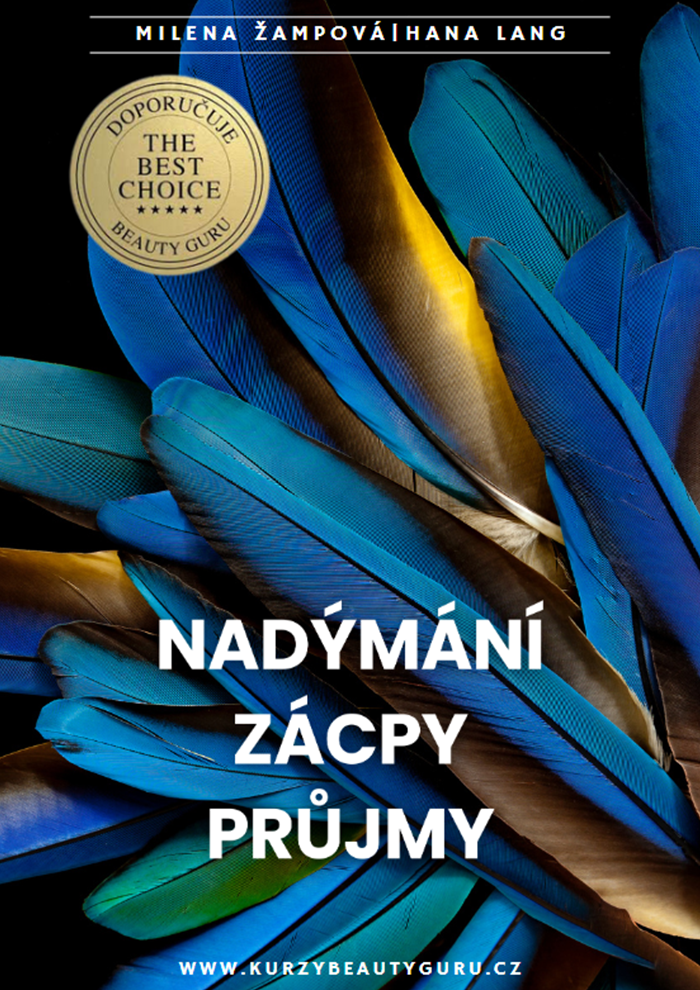 Ebook