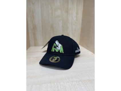 Kšiltovka Fivestars - snapback, ohnutý kšilt