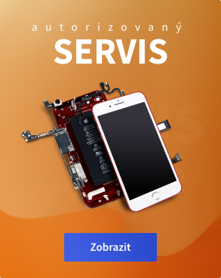 Servis