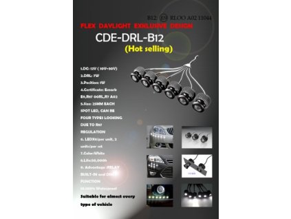 DRL 12