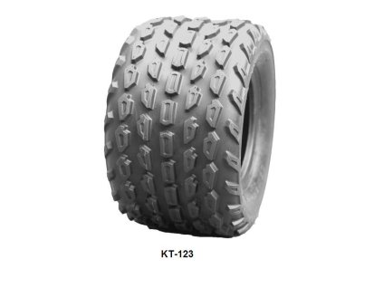 kt123
