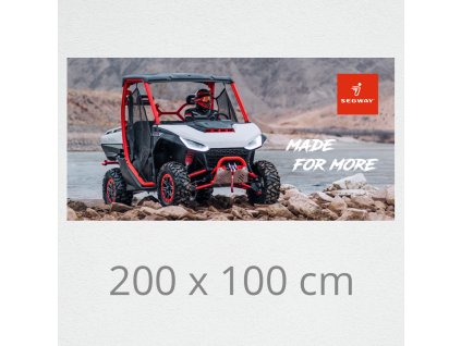wallpaper on wall segway ut10 01