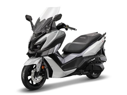 CRUISYM α 300 WH 300P left 451 low 655x600