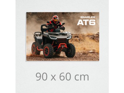 picture on wall segway at6 01