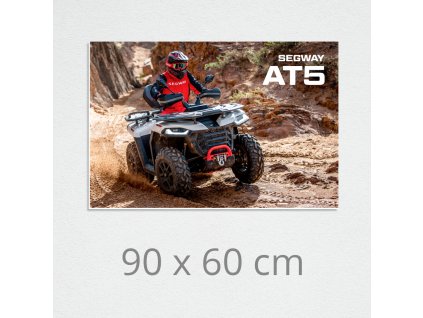 picture on wall segway at5 01