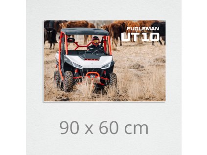 picture on wall segway ut10 01