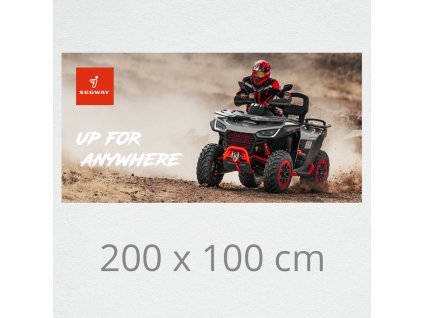 wallpaper on wall segway at6 01