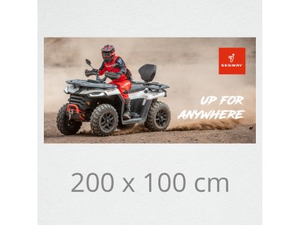 wallpaper on wall segway at5 01