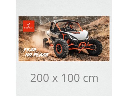 wallpaper on wall segway sx10 01