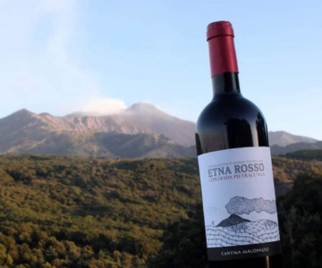 Jak vybrat italské víno