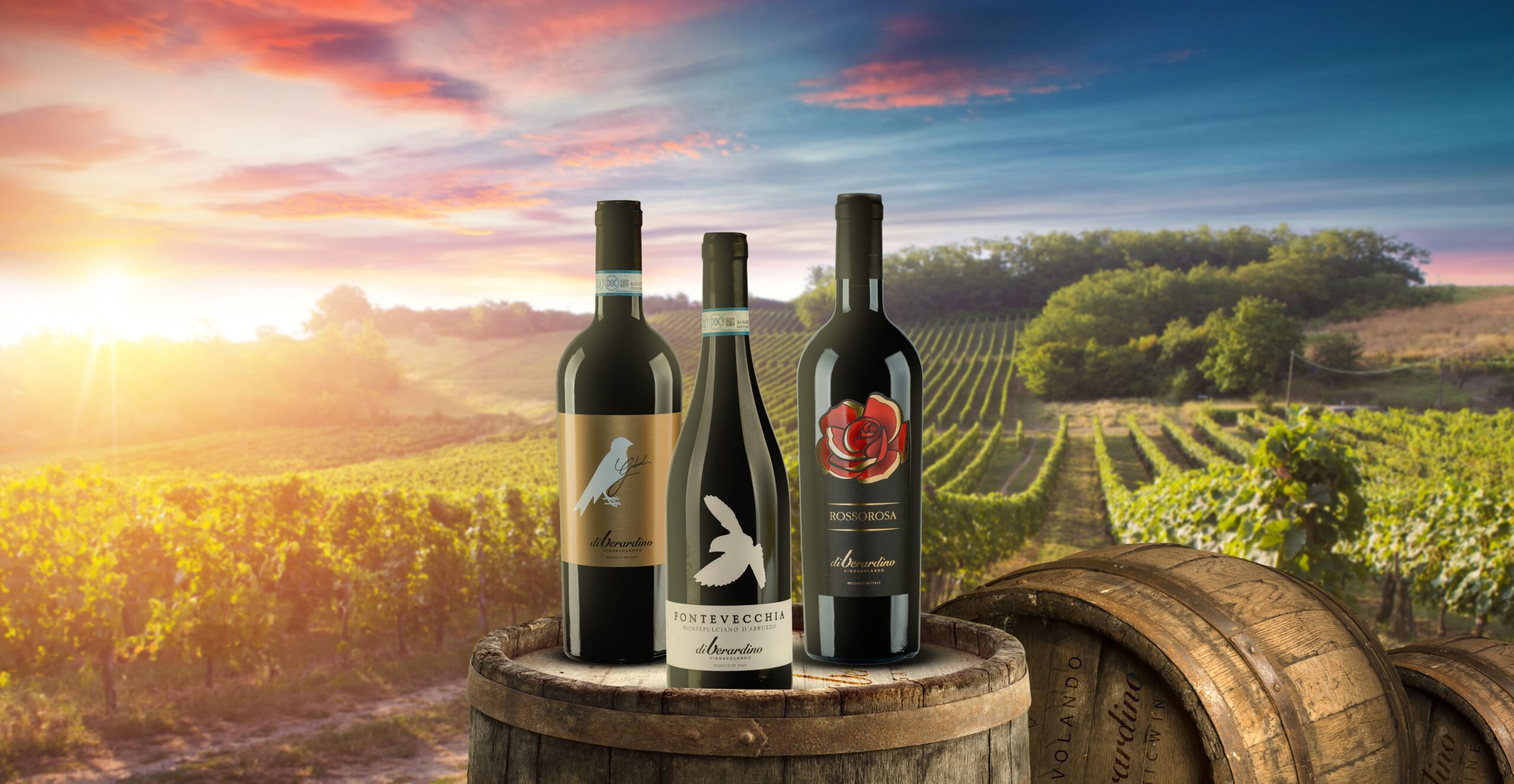 botte_2vini-min-scaled-1