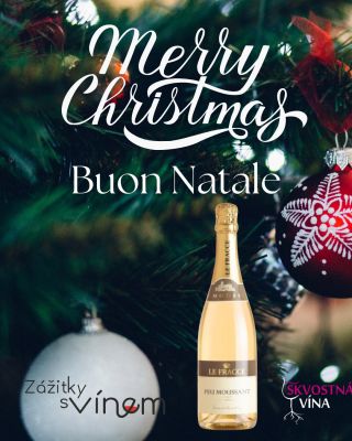 Milé dámy, vážení pánové, rád bych Vám jménem společnosti Skvostná vína s. r. o. popřál śťastné a Veselé a nikým a ničím...