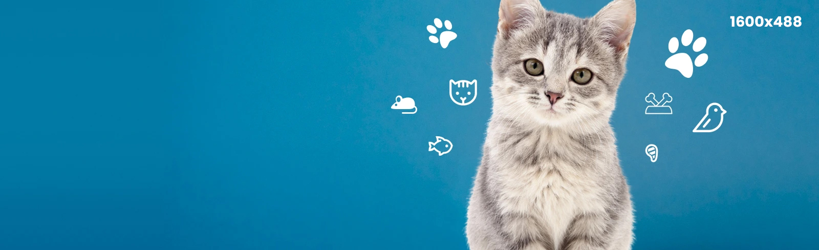 Krmení a vybavení pro vaše mazlíčky