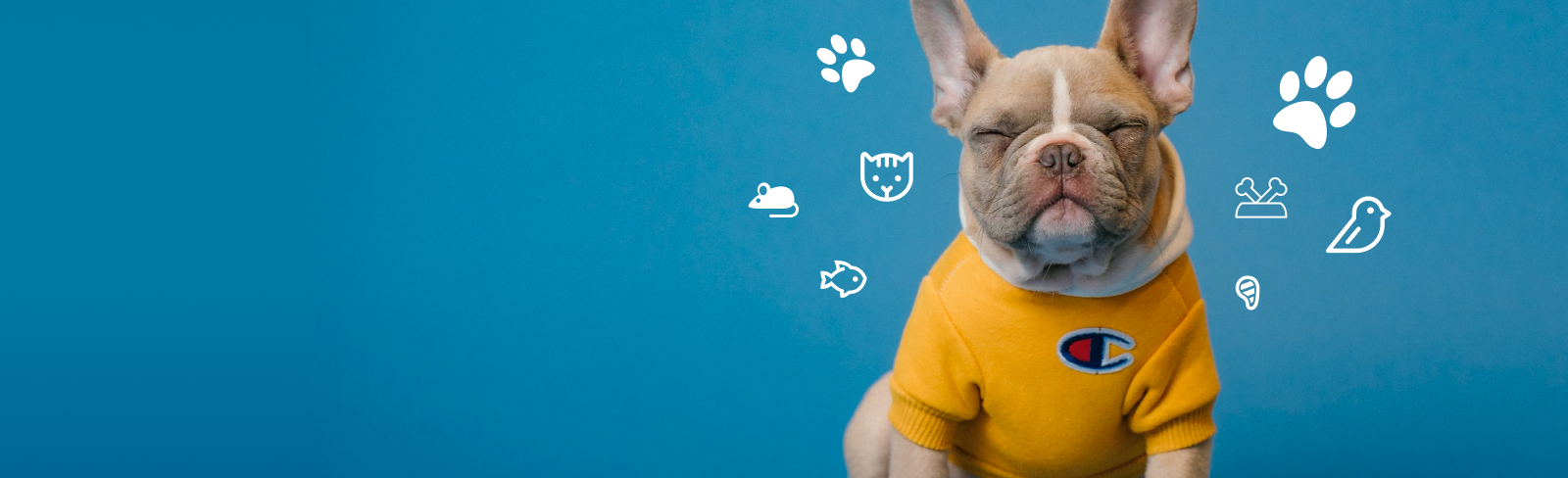 Krmení a vybavení pro vaše mazlíčky