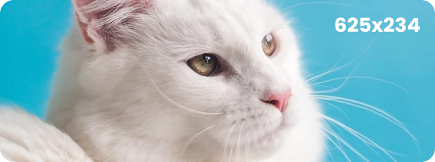 Pelíšky pro kočky