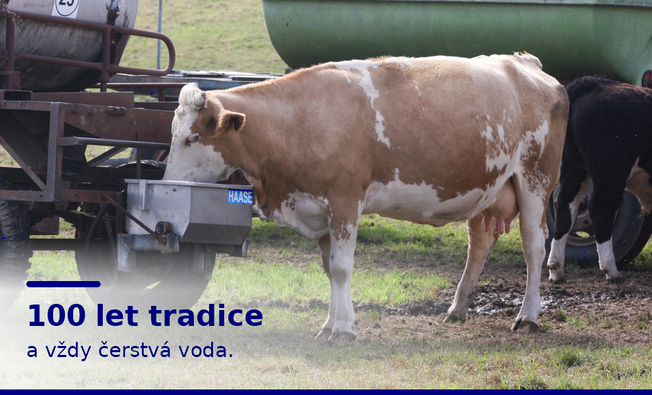 100 let tradice