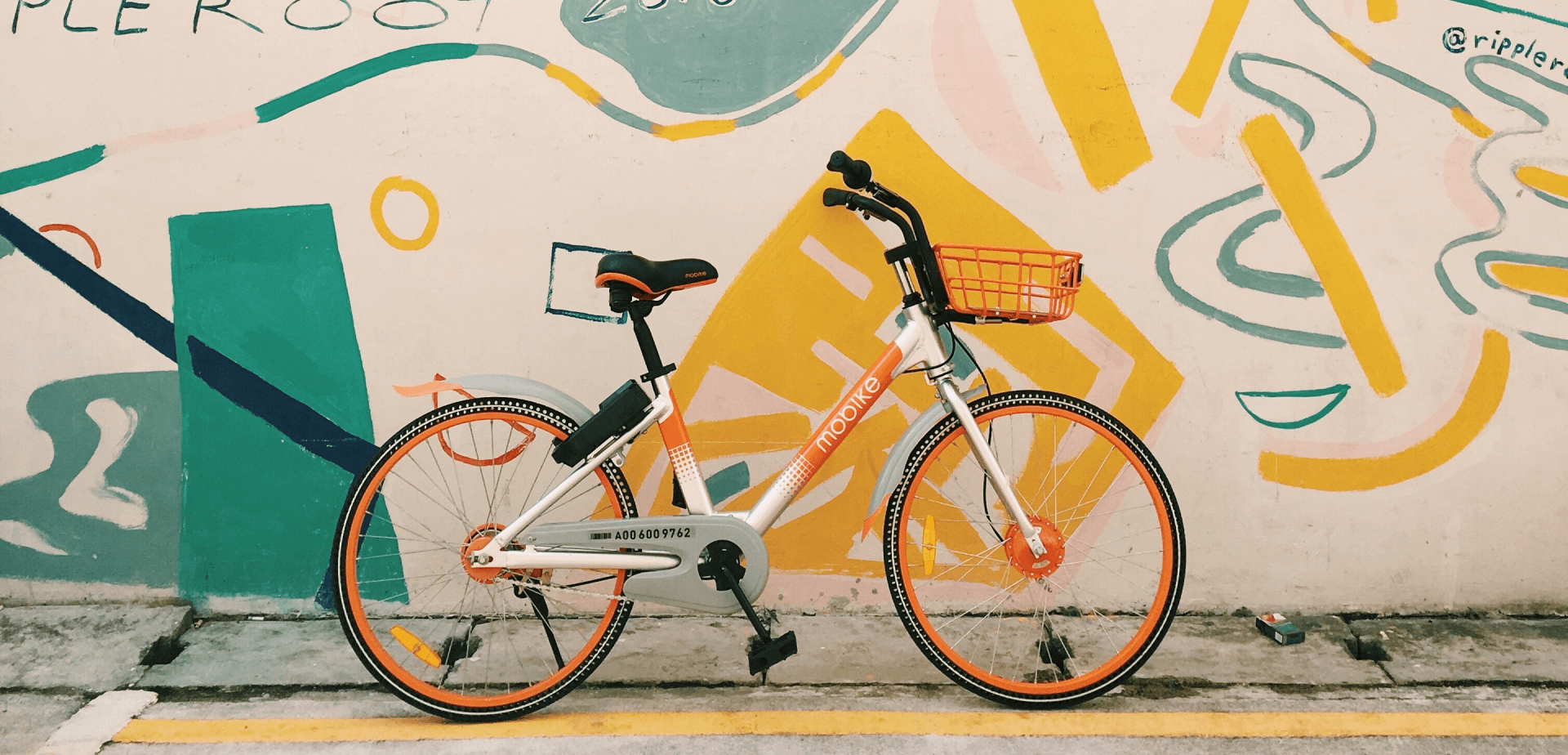 Městská kola, naše vaše specialita.