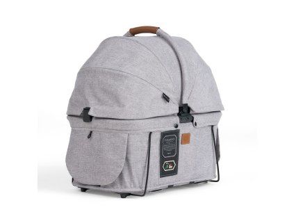 A1
