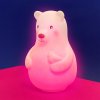 Bear 3
