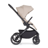 1p