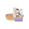 19645 31077 massageburste 2d box web