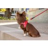 cc