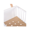 CRTIP 11