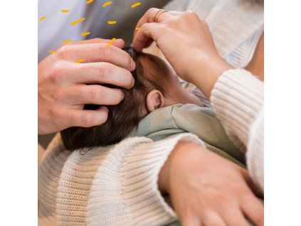 240 videopruvodce sestinedelim