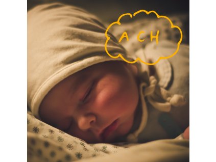 Předporodní příprava - individuální konzultace