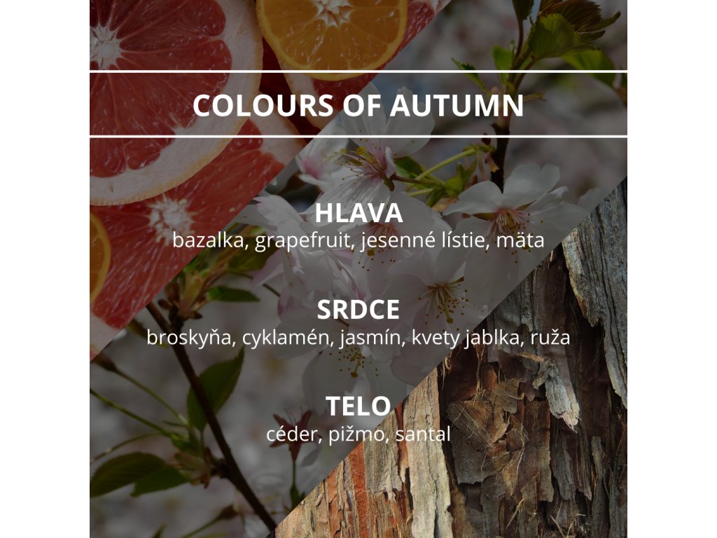 rocne obdobie colorsofautumn