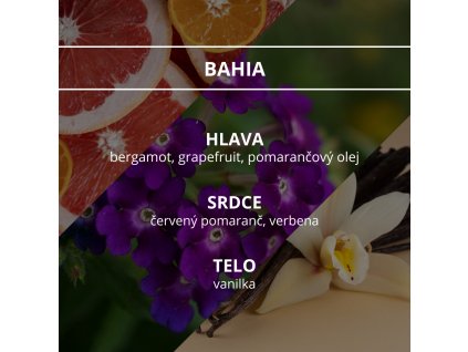 wellness bahia