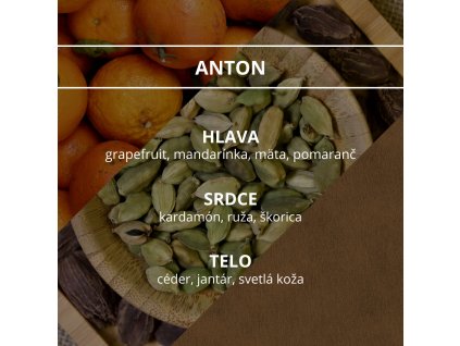 panska anton