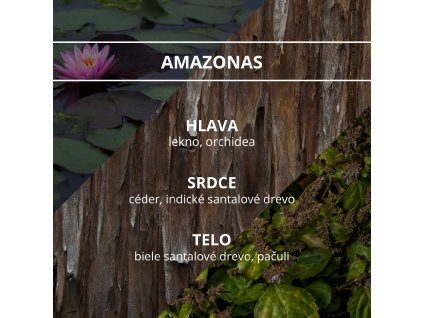 priroda amazonas