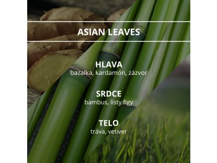 priroda asian leaves