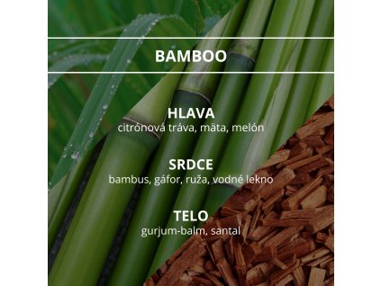 priroda Bamboo