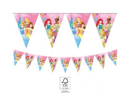 balonky balonek balonkova balloon balloons ubrousky kelímky napkins talířky oslava narozeninové happy birthday všechno nejlepší narozeniny princezna princezny princess disney korunka holcicka holka divci girl