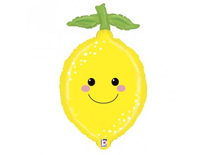 35629 Produce Pal Lemon