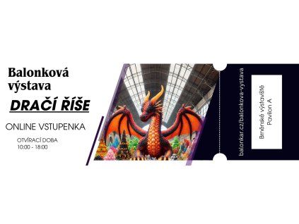 vstupenka 20250000 (4)