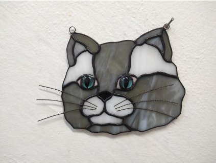 Britská kočka portrét