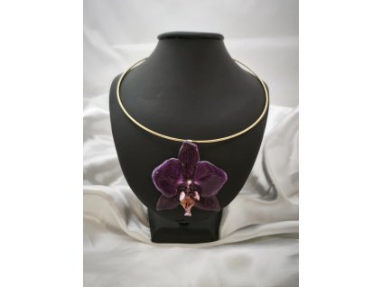 Náhrdelník orchidej Eternelle zlatá obruč