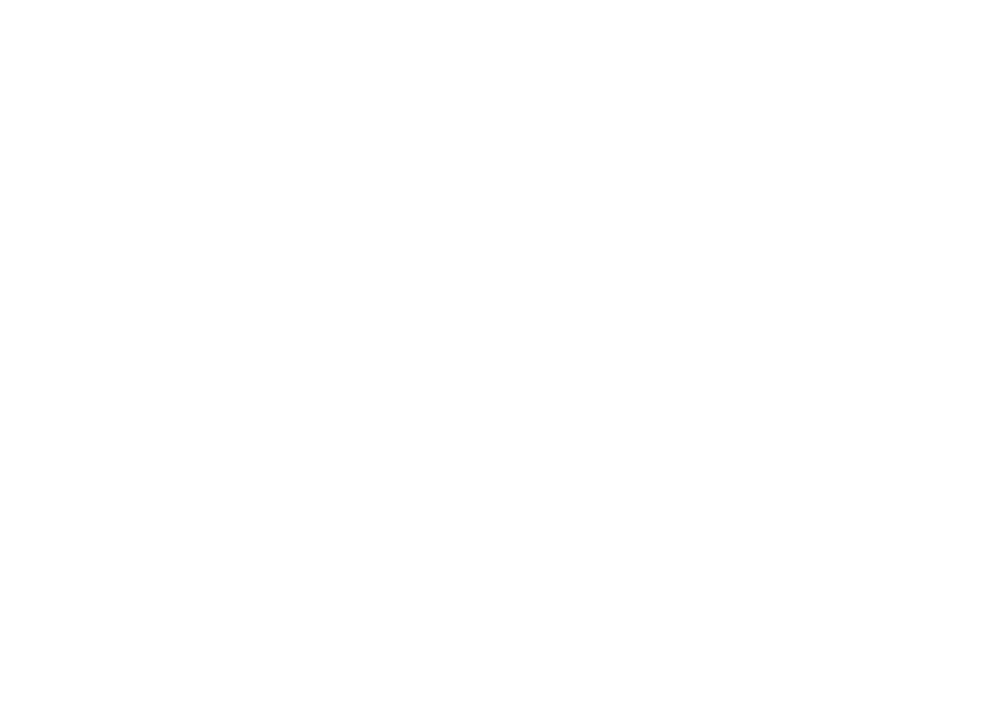 Bohemia rider