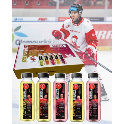 šantapka bannery (1080 x 1350 px) (6)