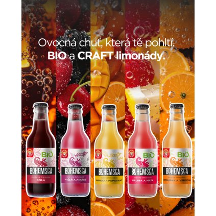 Bohemsca pul 45 (51)