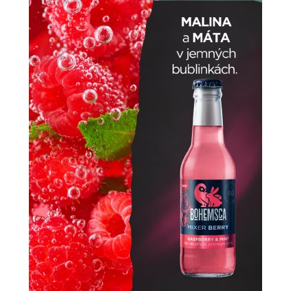 Bohemsca pul 45 (33)