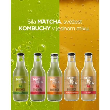 Bohemsca pul 45 (54)