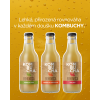 Bohemsca pul 45 20260623 110522 0000