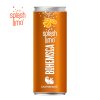 SPLASH limonáda POMERANČ 250 ml - 24 ks